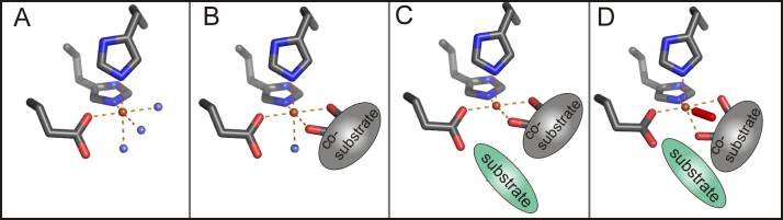 Fig. 2