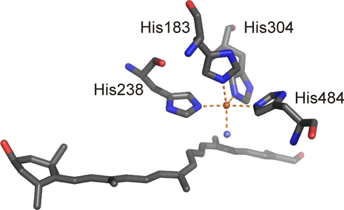 Fig. 28