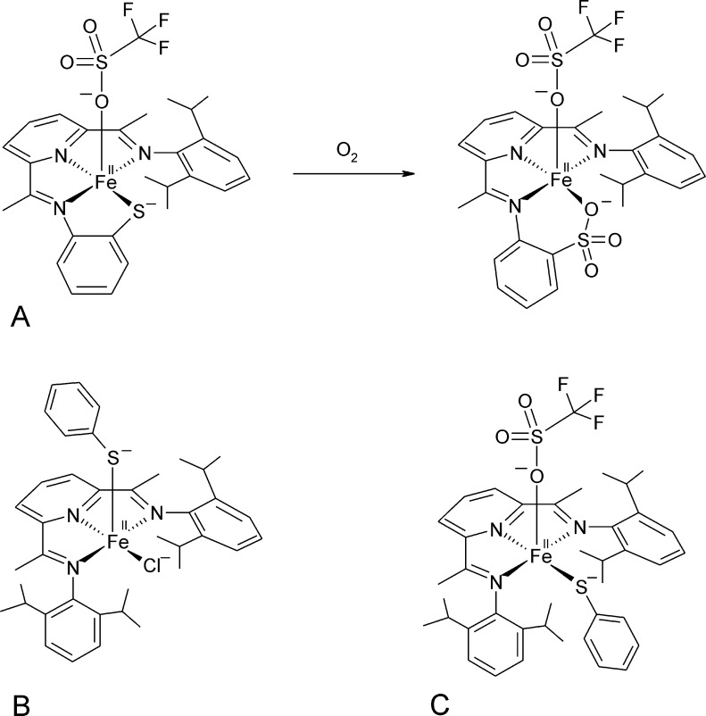 Fig. 12