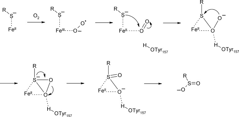 Fig. 11