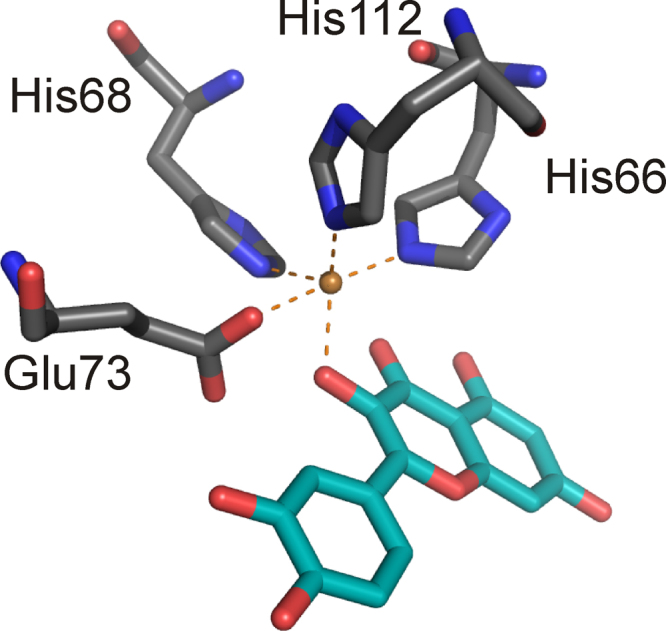 Fig. 21