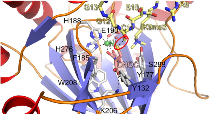 Fig. 10