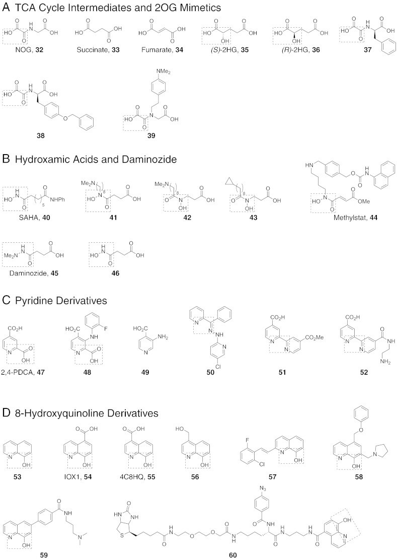 Fig. 4