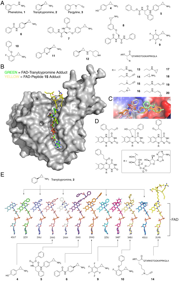 Fig. 2