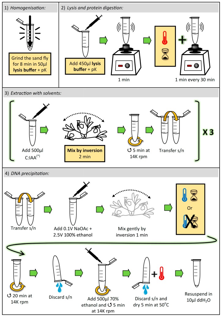 Scheme 1