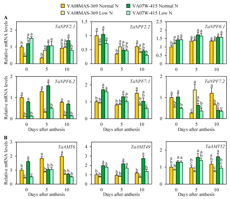 Figure 6