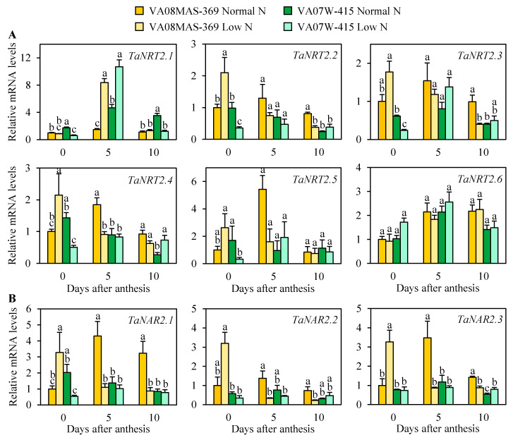 Figure 5