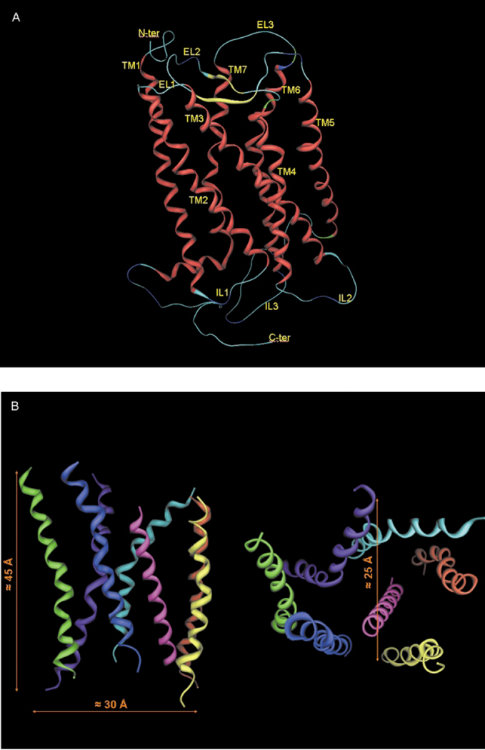 Fig. 4