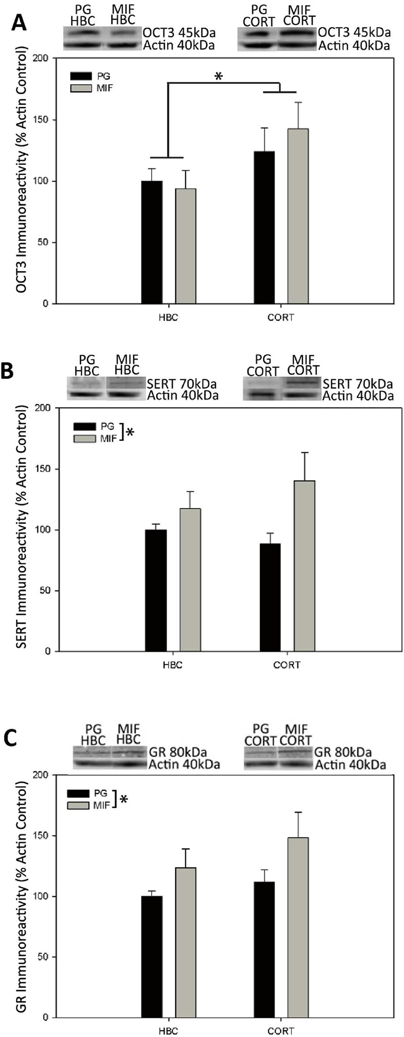 Figure 3: