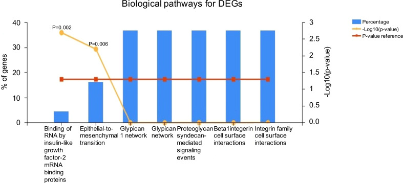 Figure 5