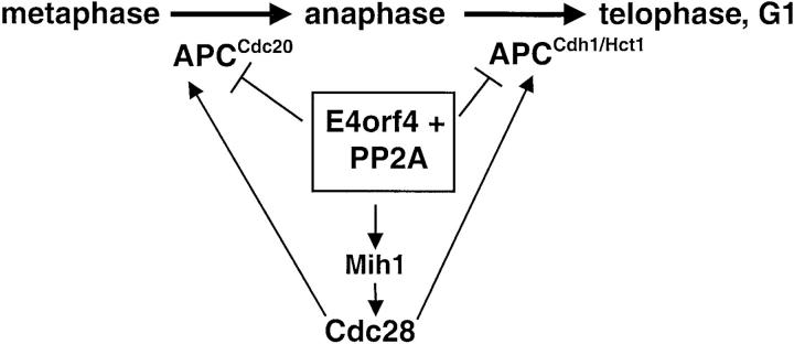 Figure 10.