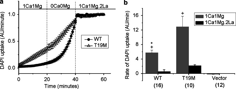 Fig. 4