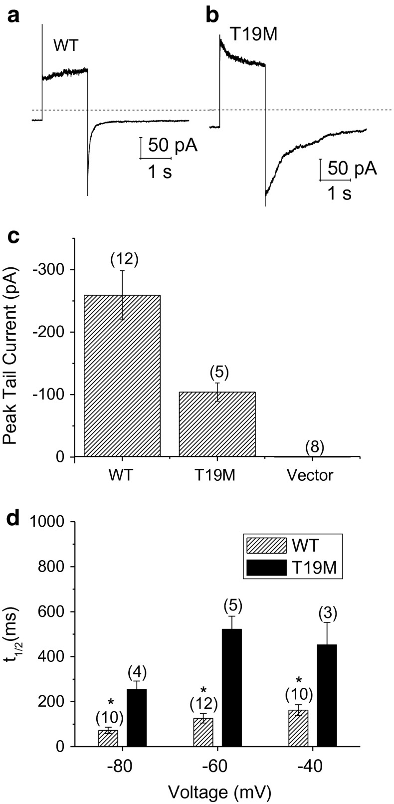 Fig. 6