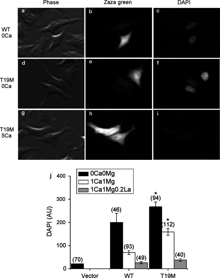 Fig. 3