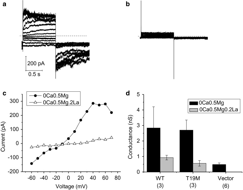 Fig. 7