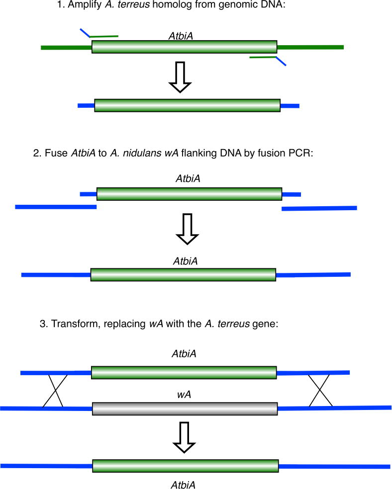 Fig. 3