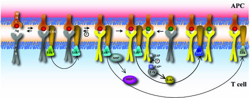 Fig. 4.