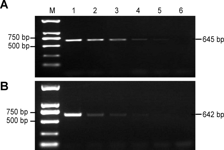 Fig 5