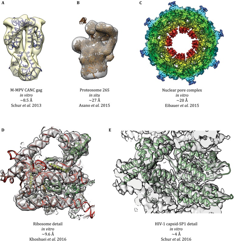 Fig. 3