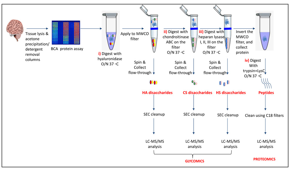 Fig.2.