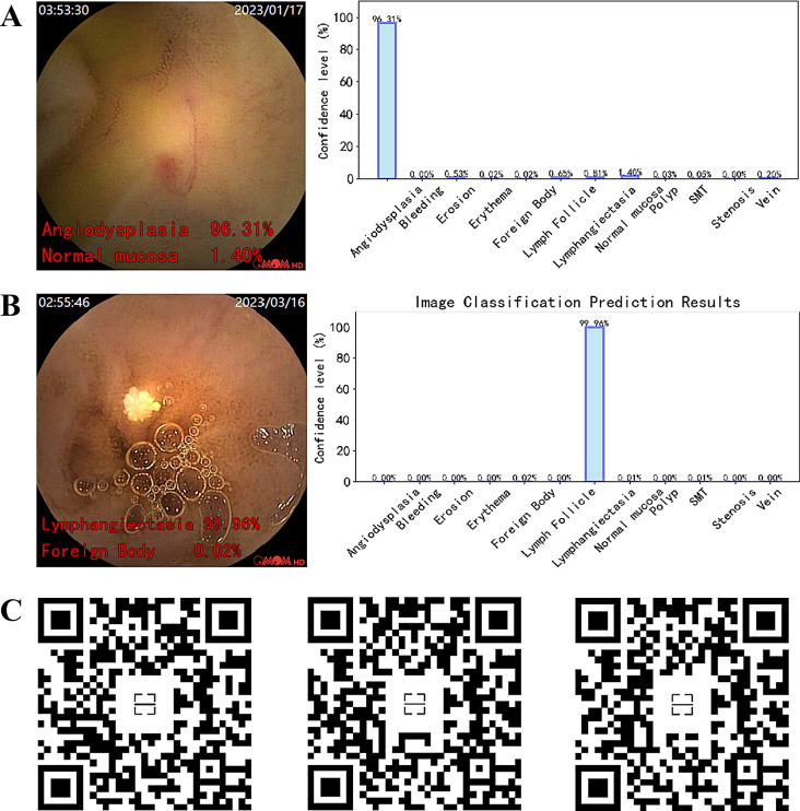 Fig. 10