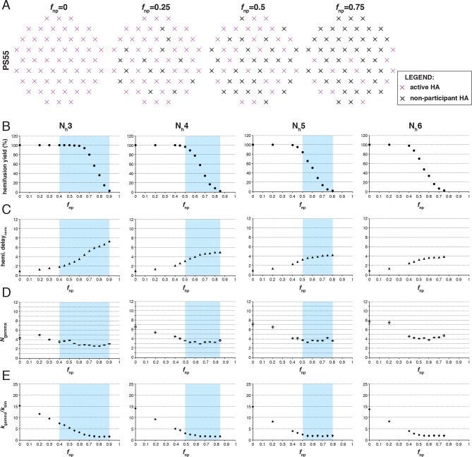 Figure 3—figure supplement 1.