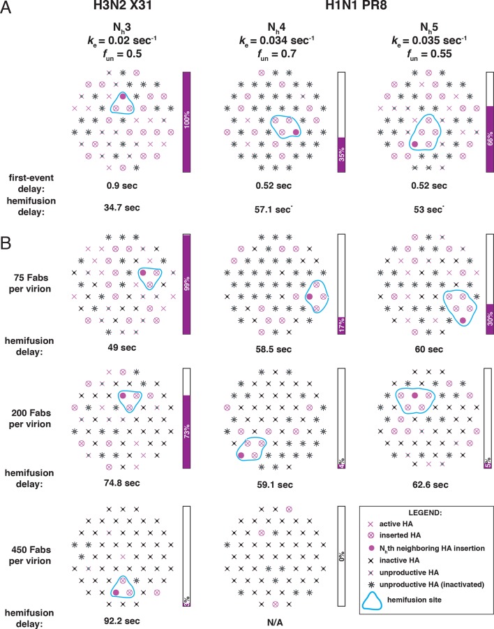 Figure 9—figure supplement 1.