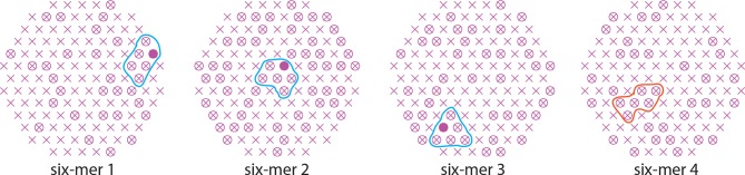 Figure 2—figure supplement 1.