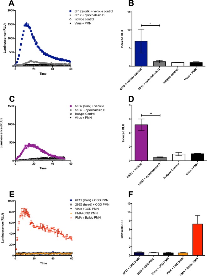 FIG 4 