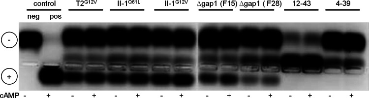 Fig 7