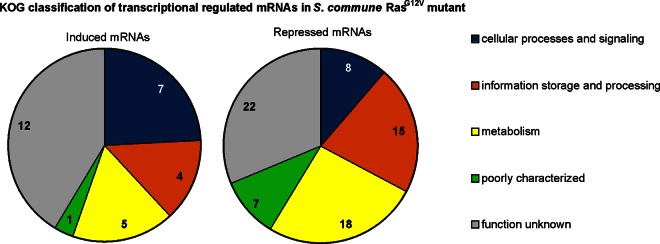 Fig 8