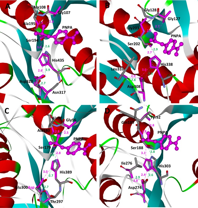 Fig 6