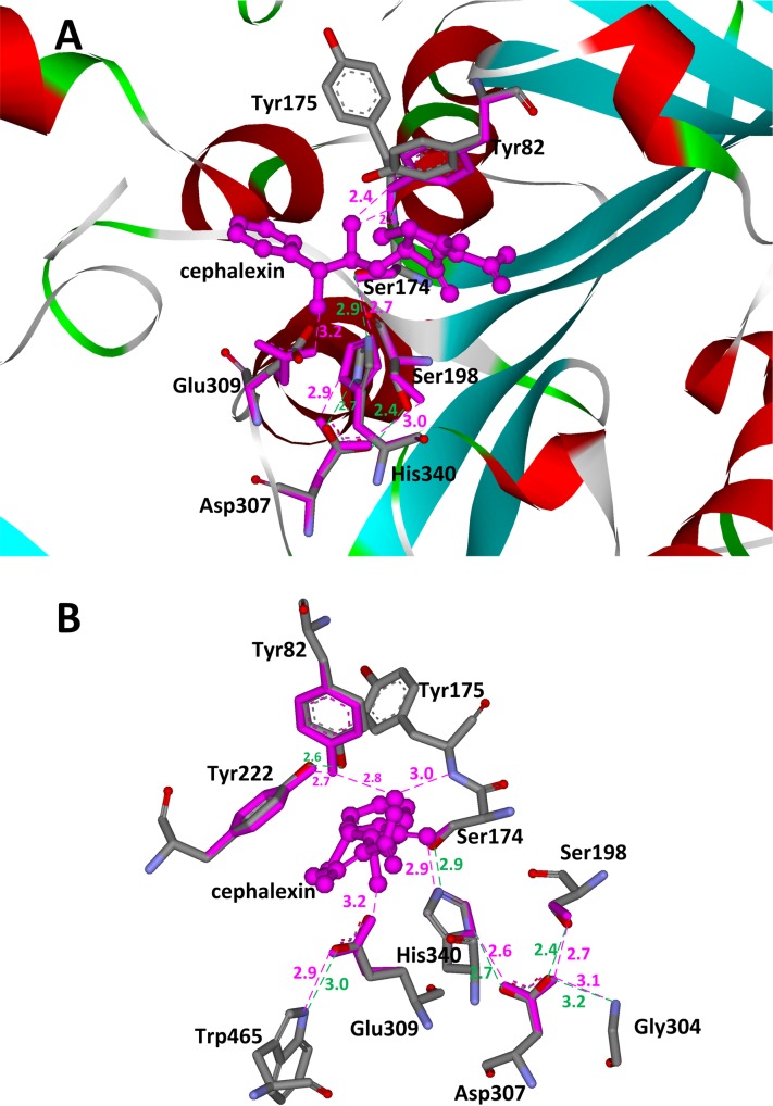 Fig 7