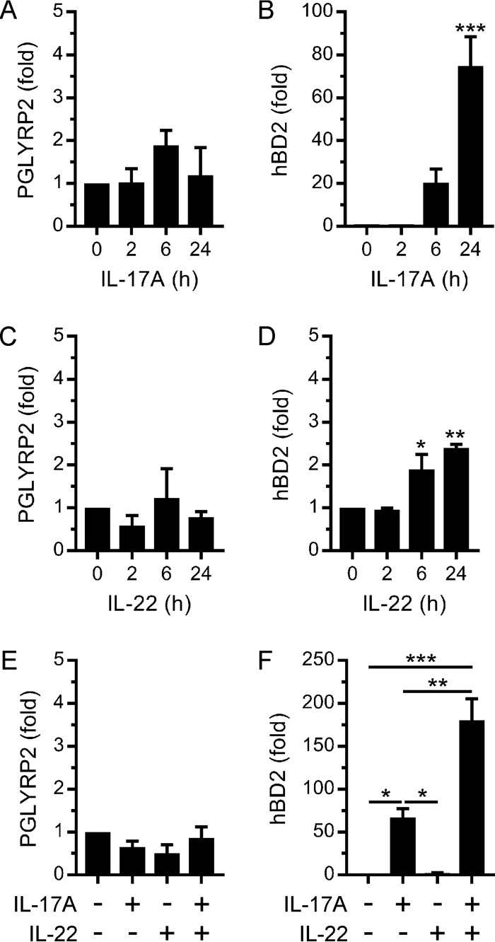 FIG 2