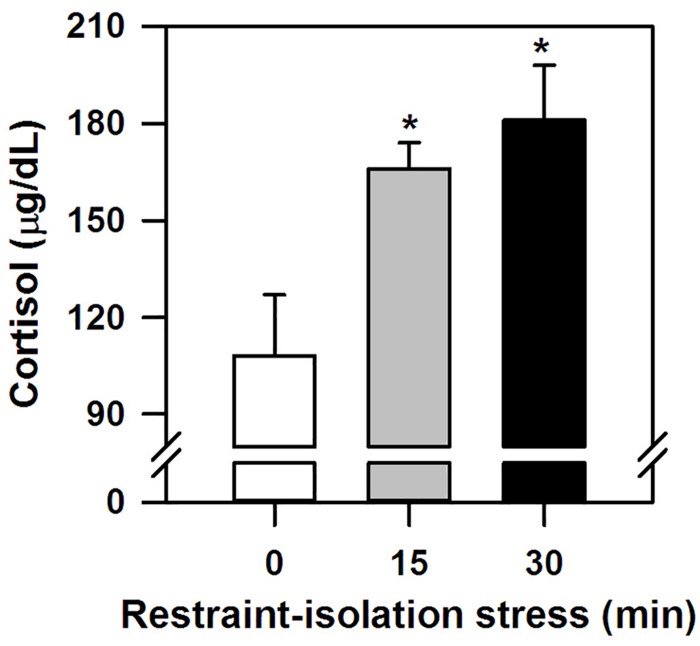 FIGURE 1