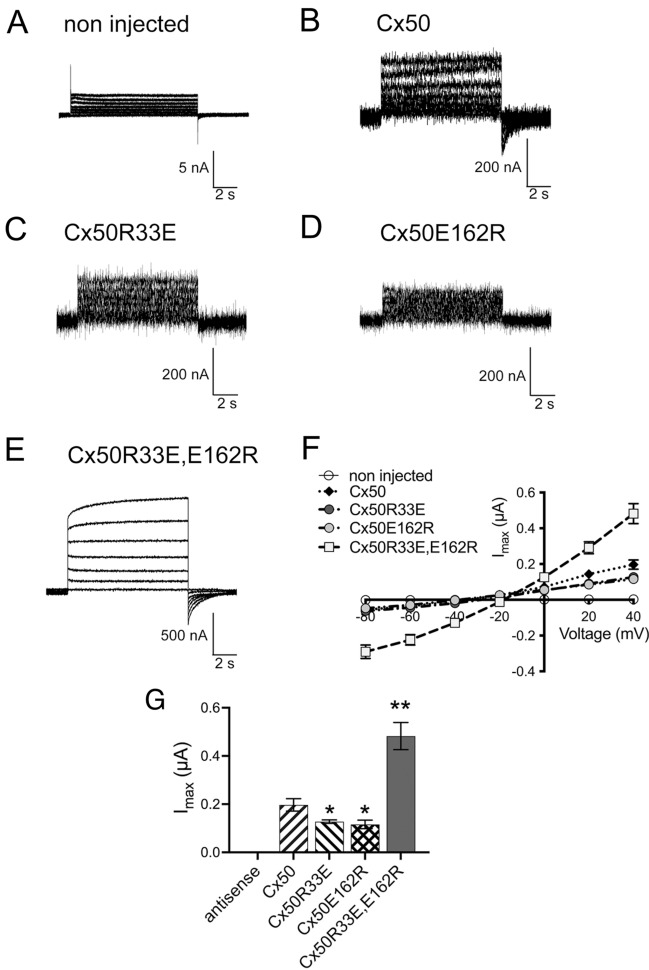 Fig. 8