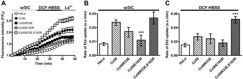 Fig. 9