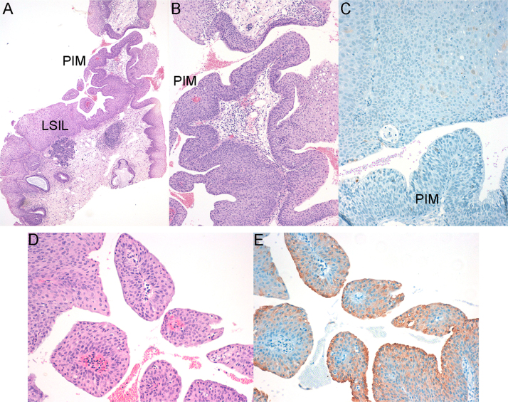 Fig. 5.