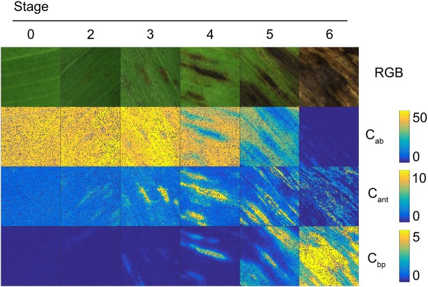 Figure 6