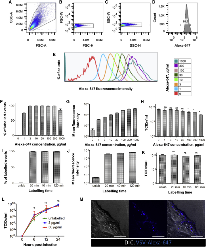 Figure 2