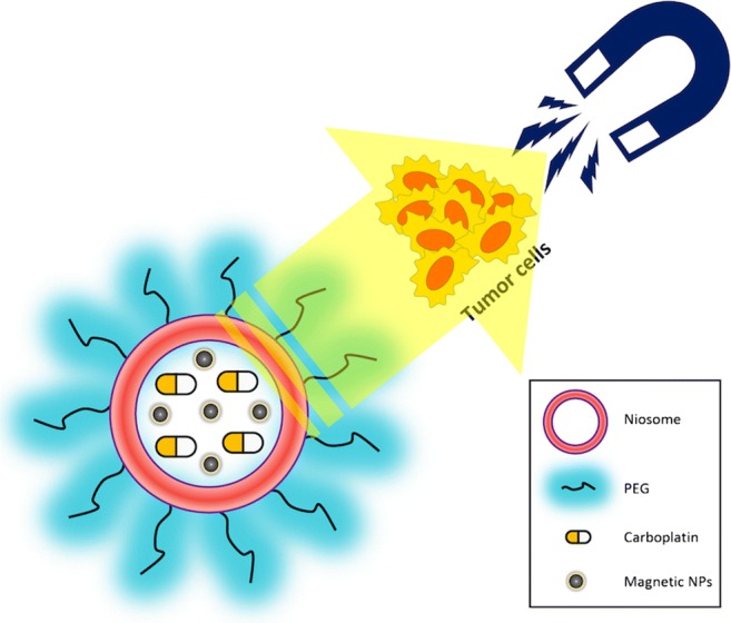 Graphical abstract