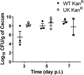 Fig. 2