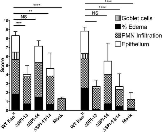 Fig. 4