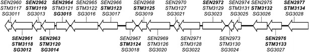 Fig. 1