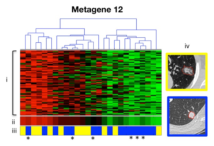 Figure 1c: