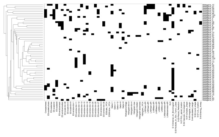 Figure 1b: