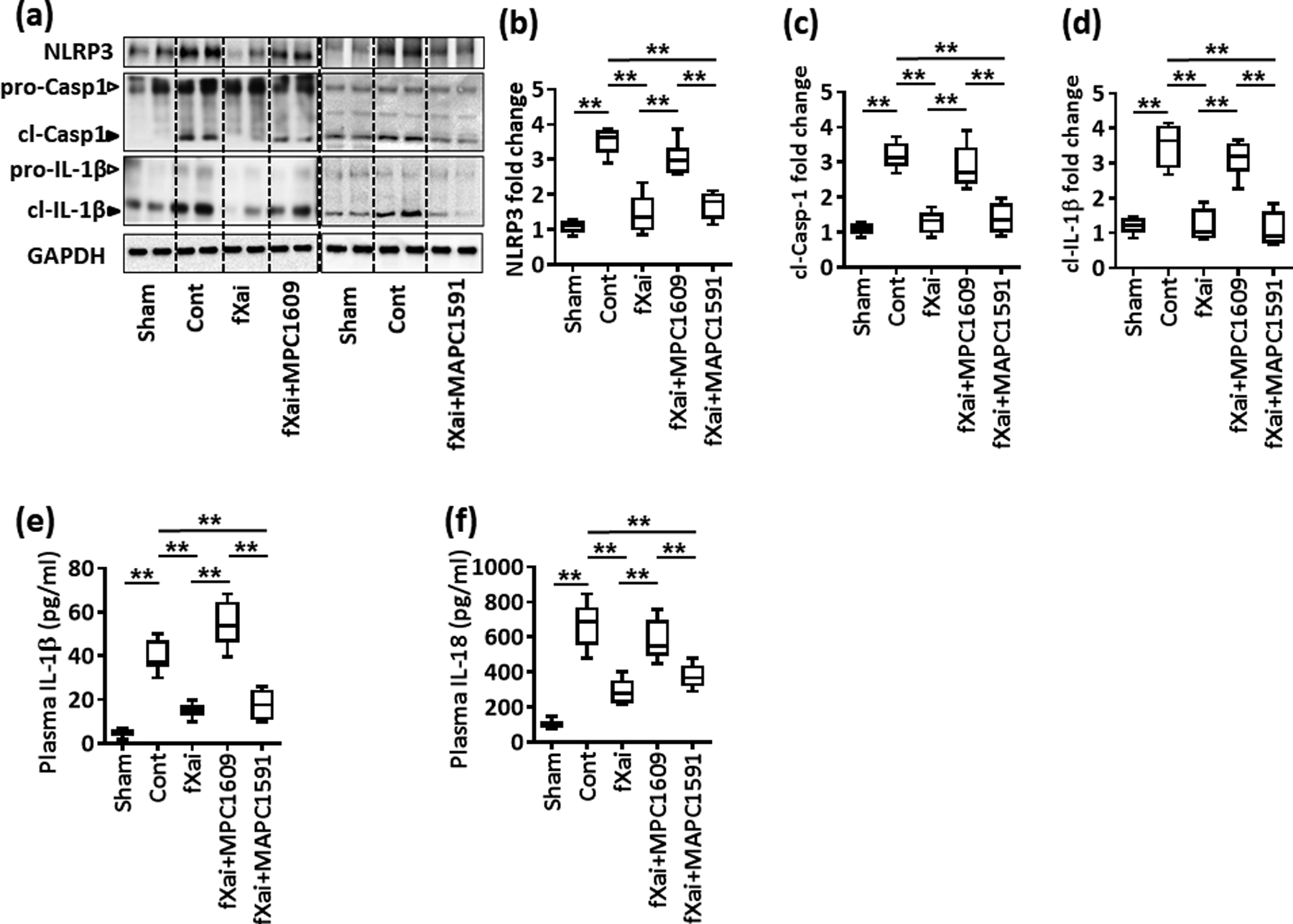 Fig. 7: