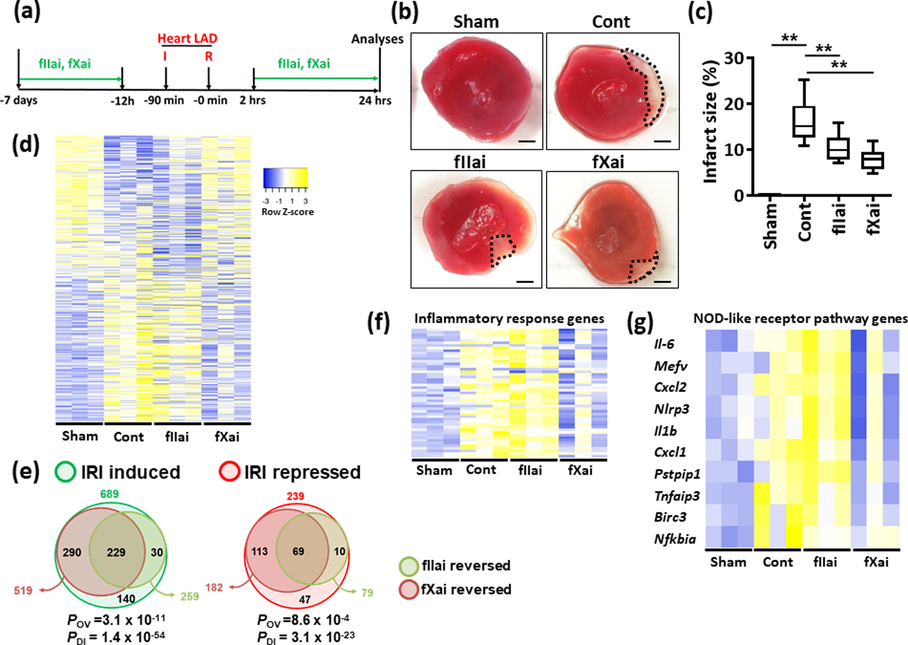 Fig. 2: