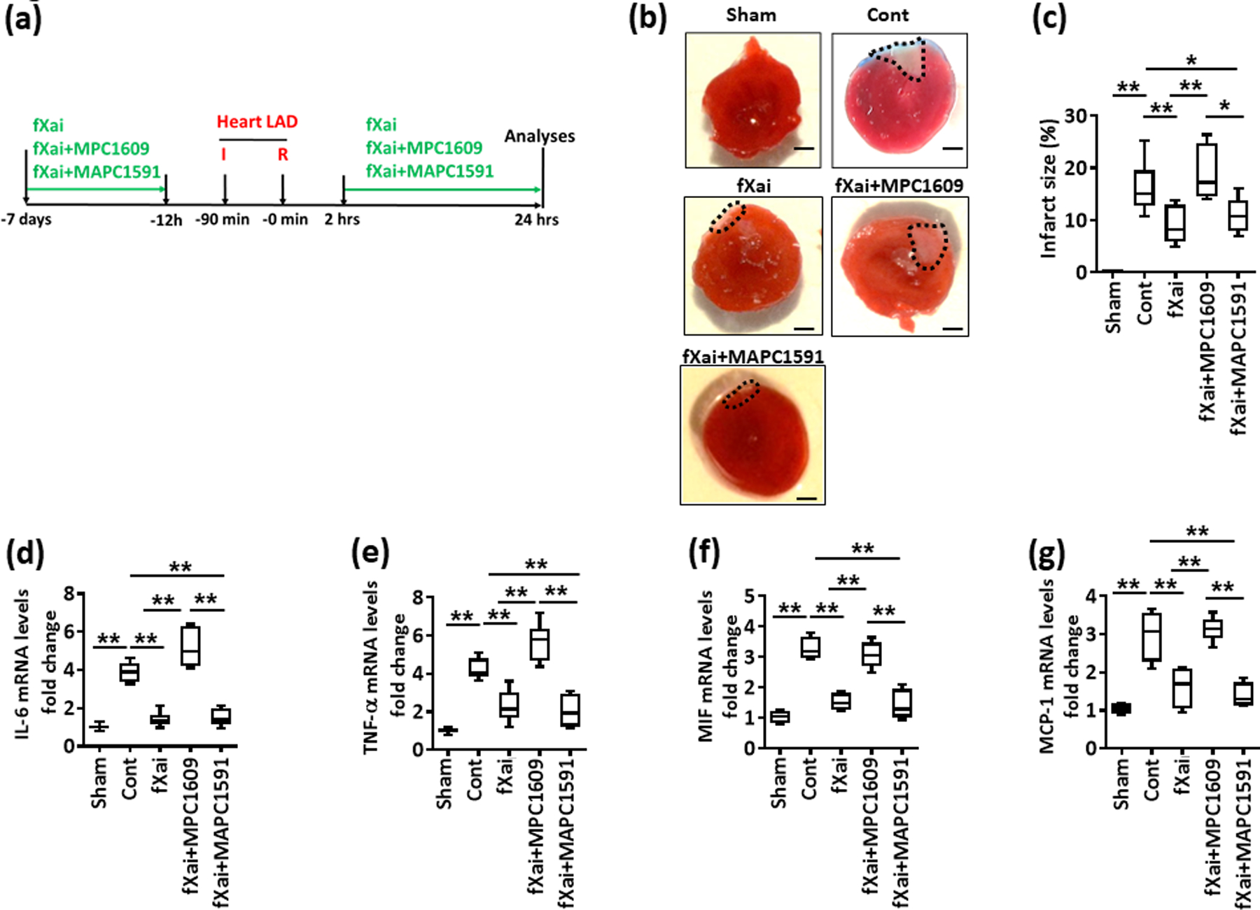 Fig. 6: