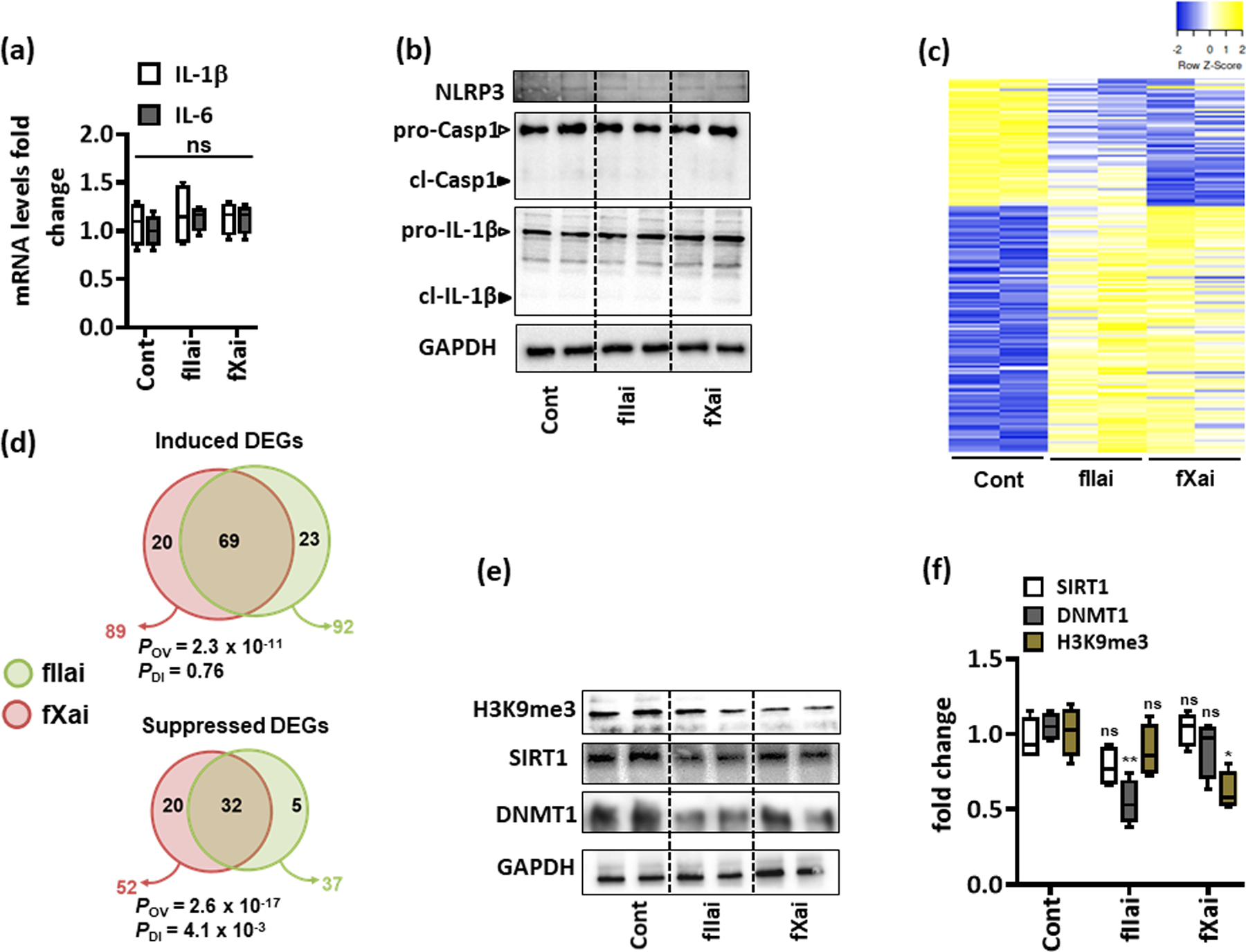 Fig. 4: